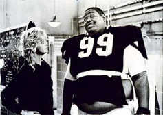 finch wildcats finch wildcats